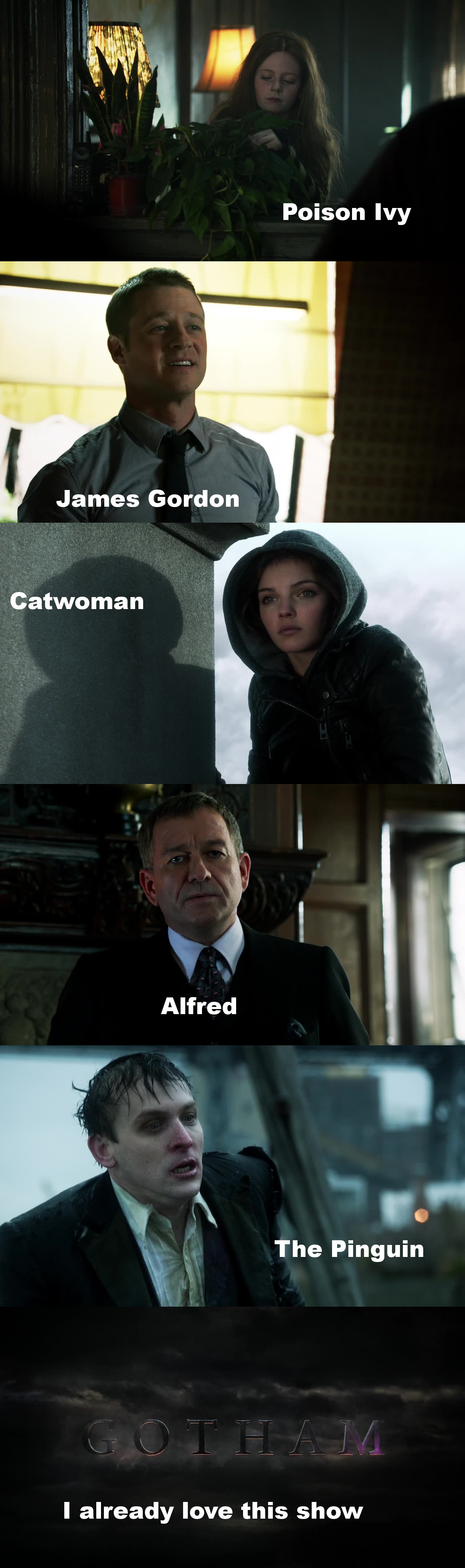 The cast is amazing, this pilot is so good ! We can expect a much better quality for the next episodes. This is exciting.
