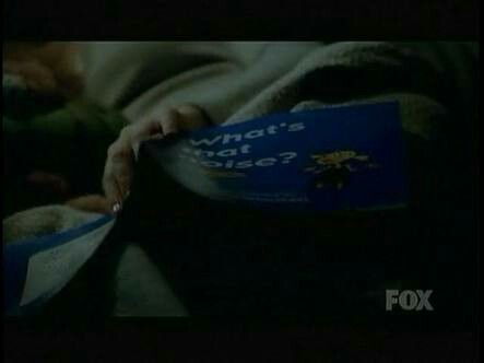 Did anyone else noticed "What's that noise?" is the title of the book Ella was reading during the previous episode?