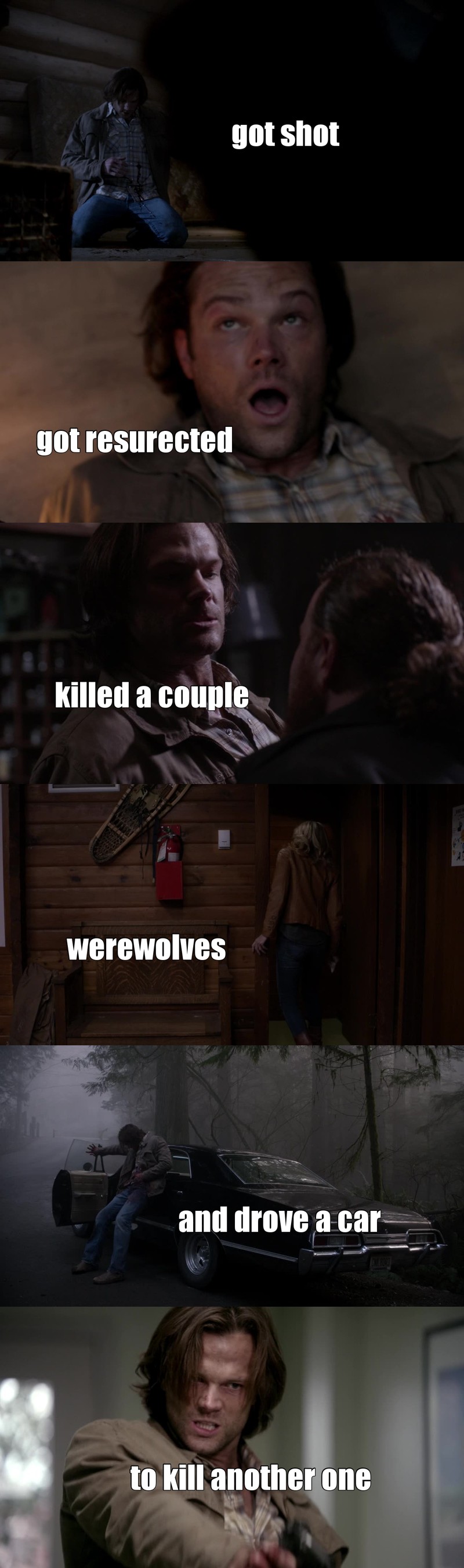 Sammy you are a badass !