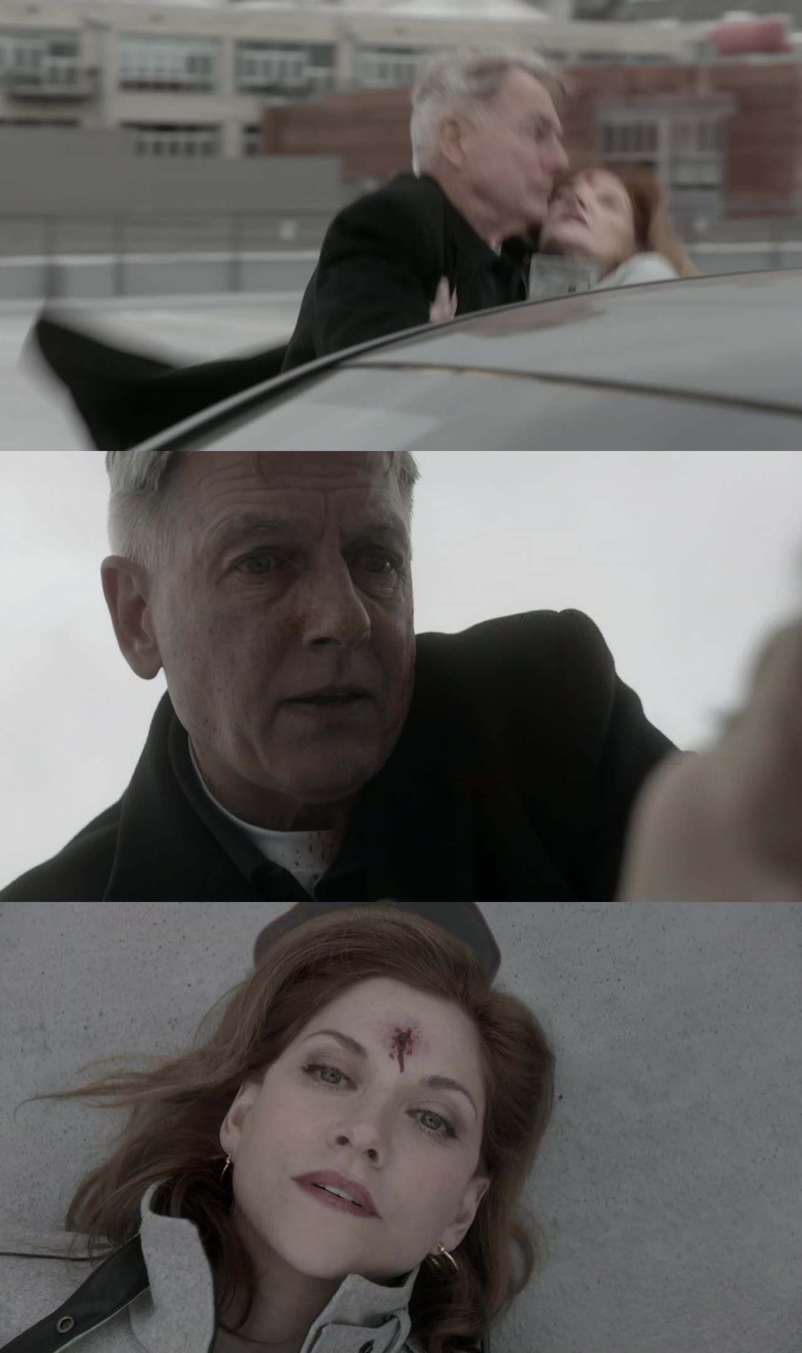 Ncis Mort De La Femme De Palmer TV Time - NCIS S12E11 - Check (TVShow Time)