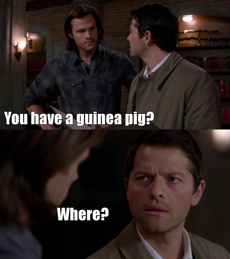 Cas 😂