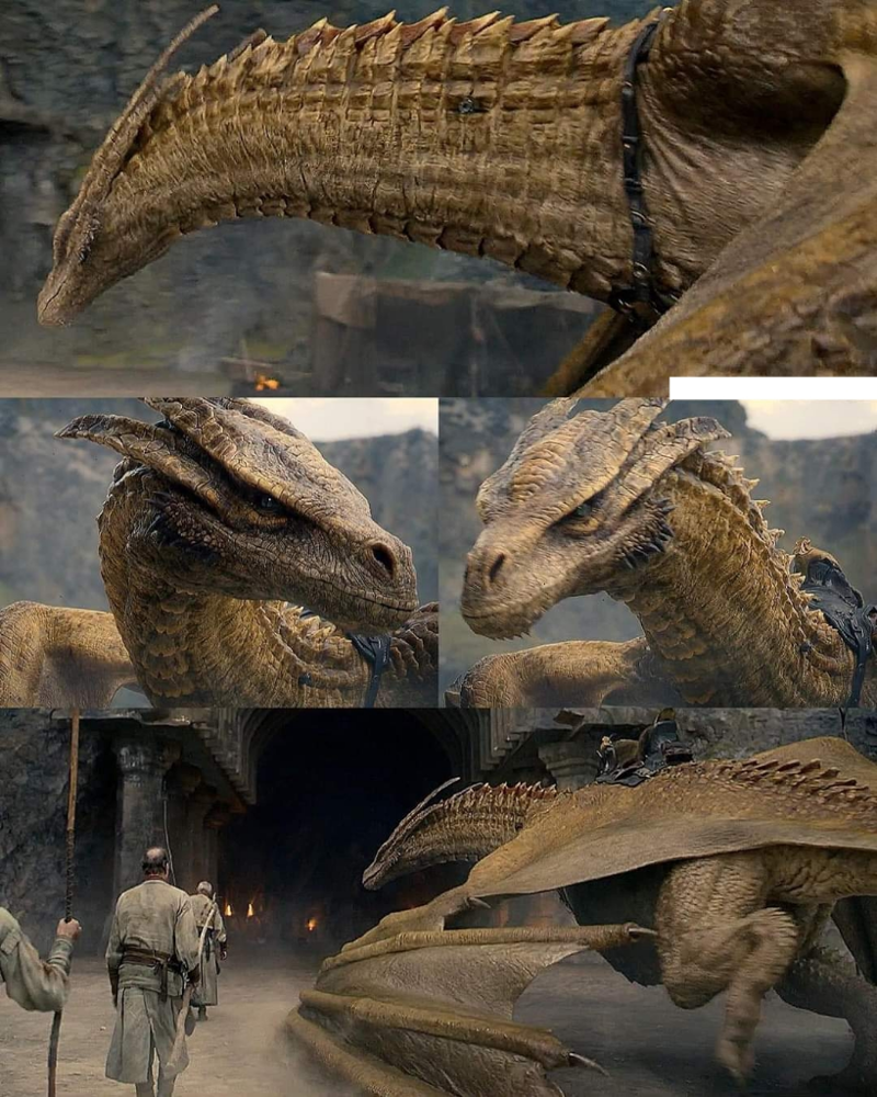 Syrax 🔥💥🐲 - the seat is such a good idea