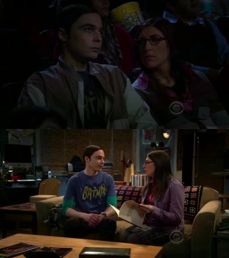 The Big Bang Theory S05E10 HDTV XviD-ASAPettv ETTV