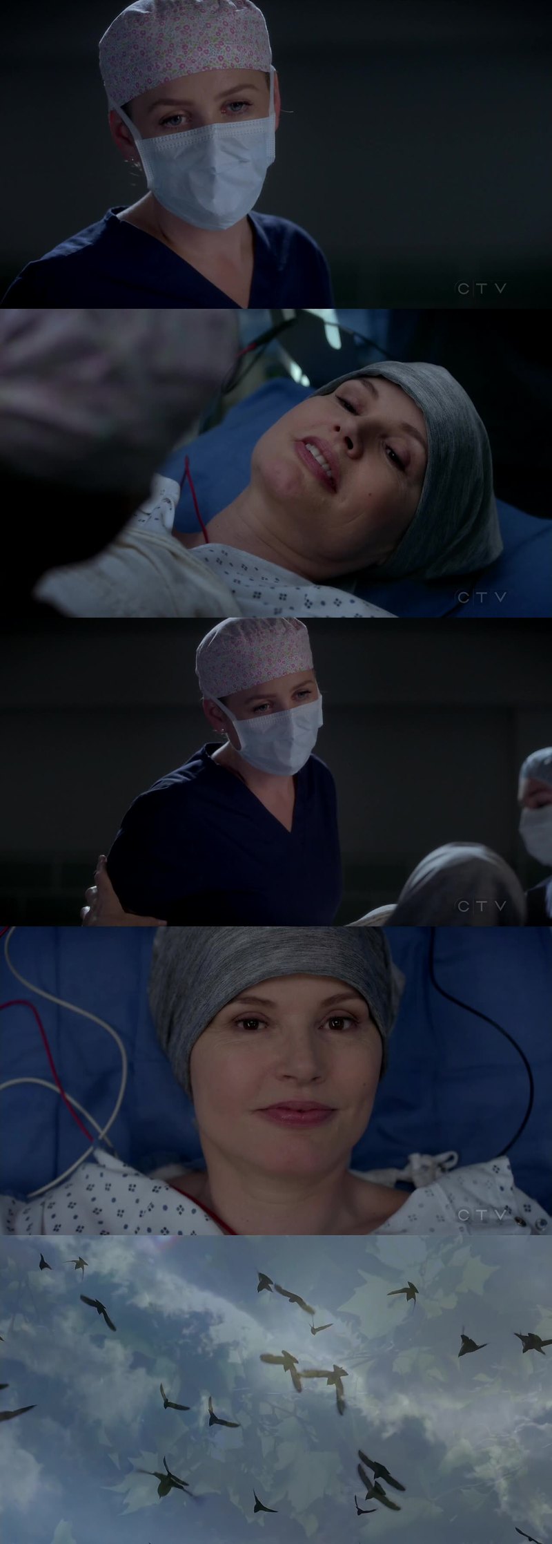 Torcendo muito pela Amelia, ela é maravilhosa!
A evolução da personagem e da amizade da Herman e Arizona é incrível! Me deixa tão encantada...