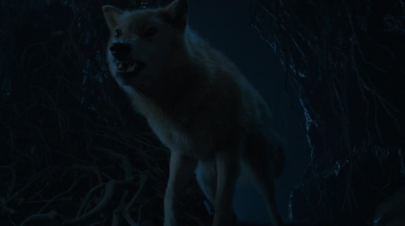 Summer is dead, Winter is coming