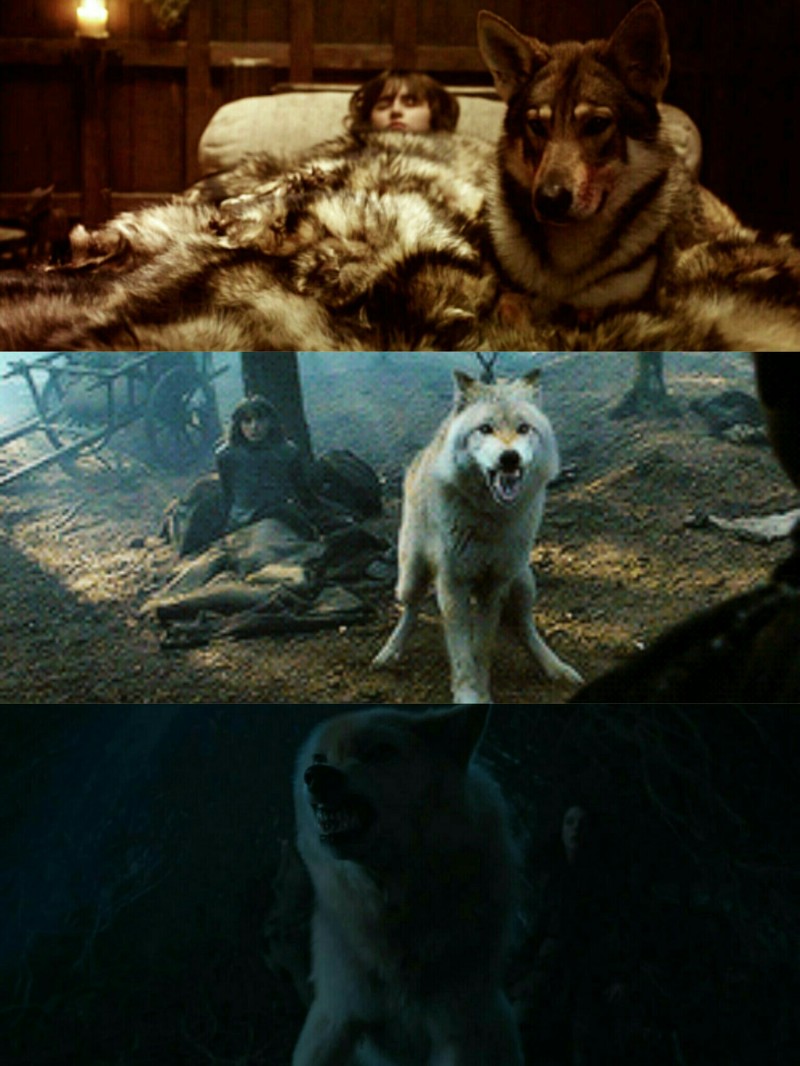she has always protected him