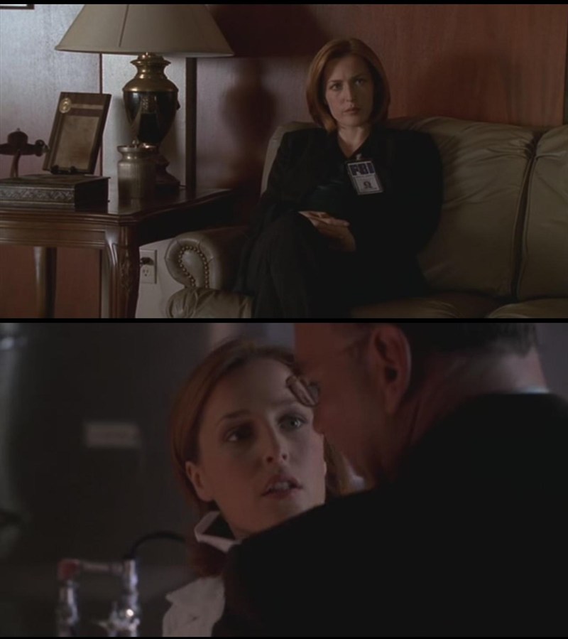 Ma quant'è carino Skinner che si preoccupa sempre per Scully? *-*