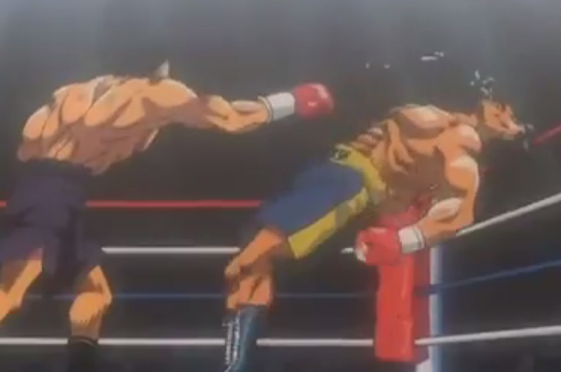 finally we know who's the real " one punch man "