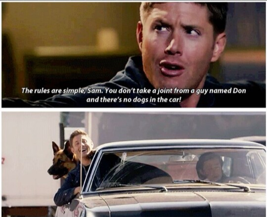 😂😂😂😂ahahaah dean wtf