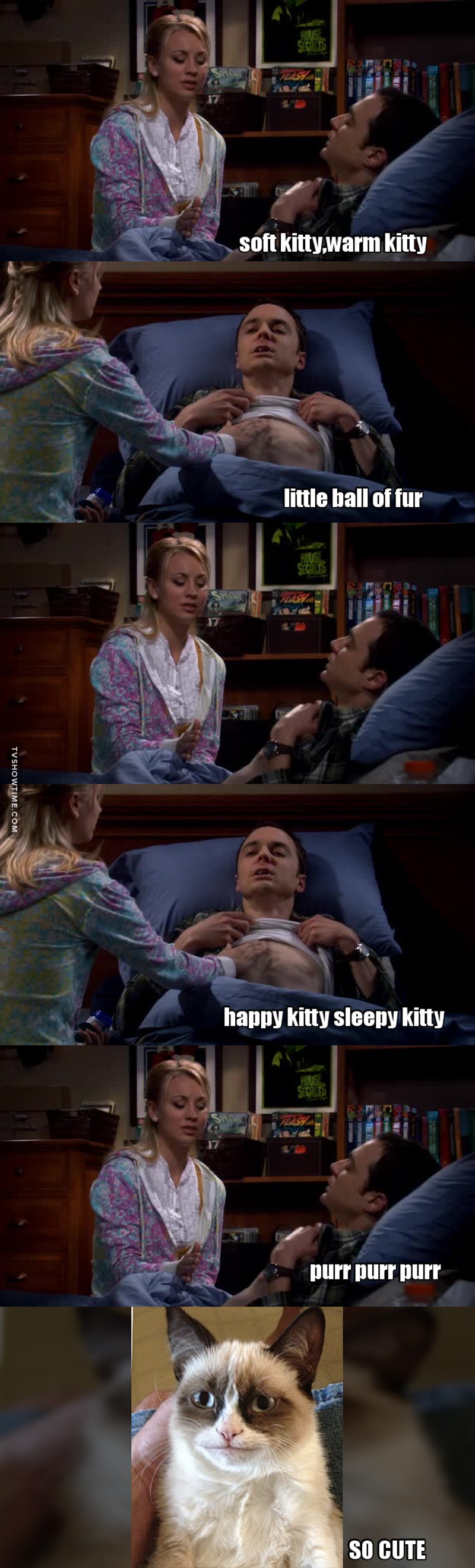Reason n°1 in order not to get pregnant 😂😂😂 #sheldonissuchababy 👌