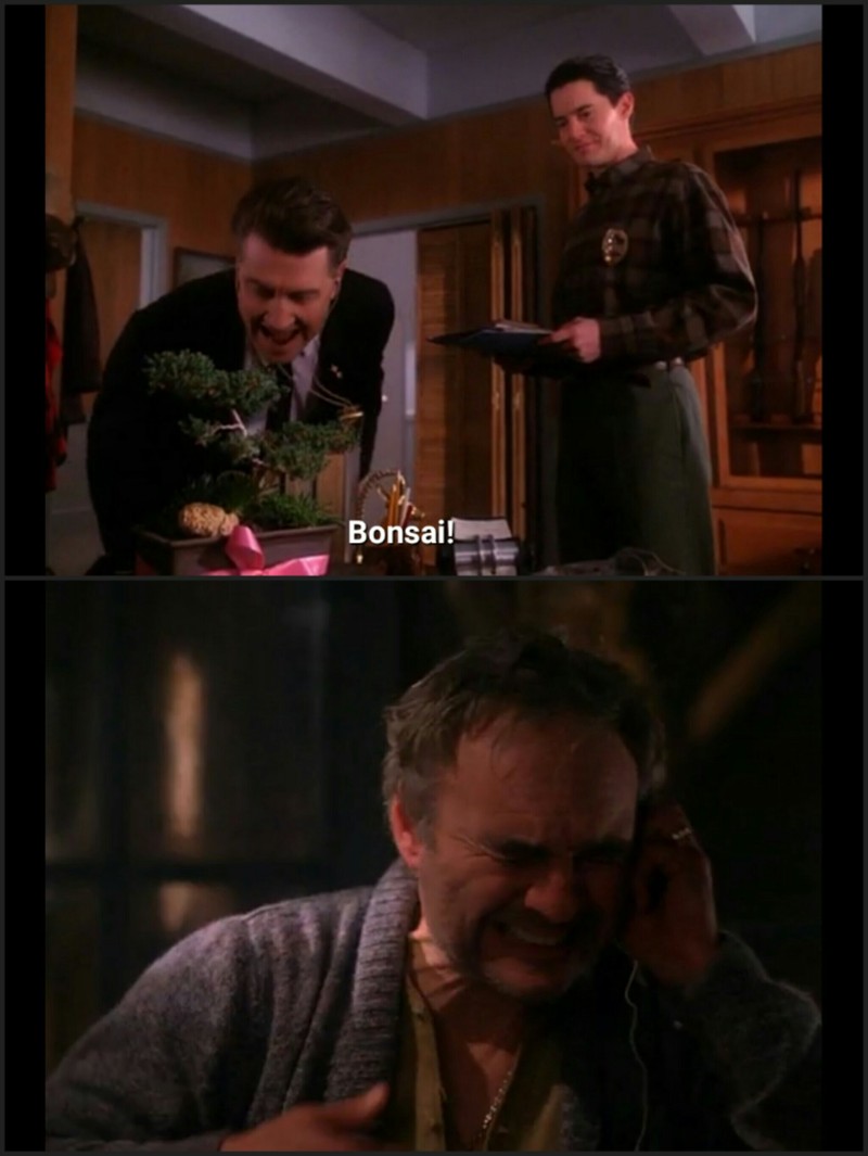 Bonsai 😂