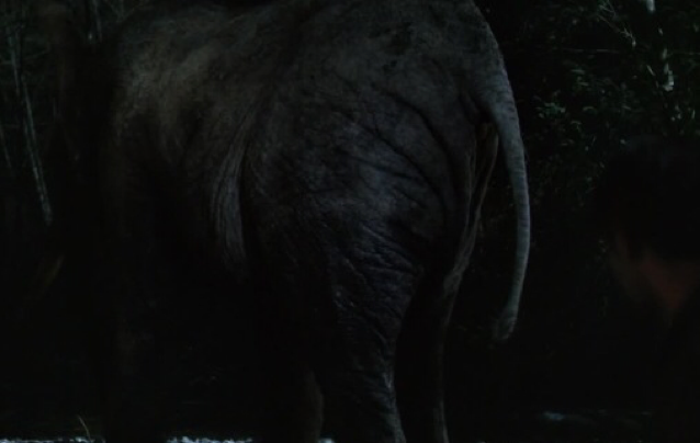 That's one big butt!