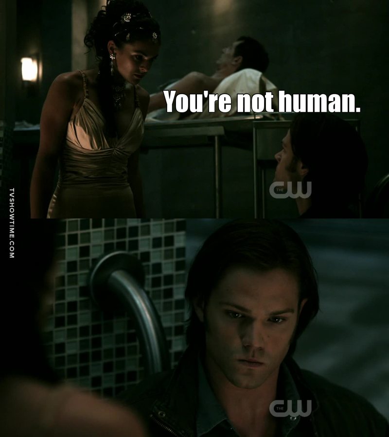 Dammit Sam ! What's wrong with you?!