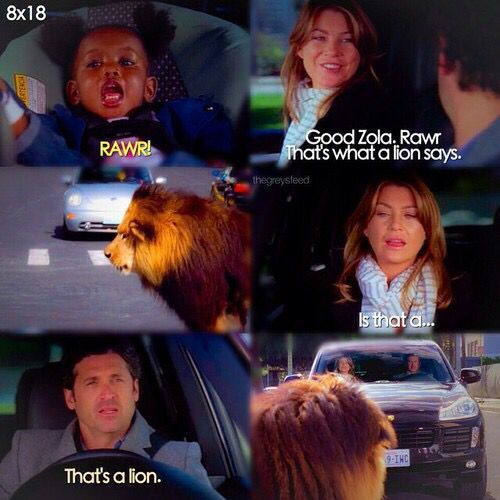 Zola is such a cutie and also very clever
