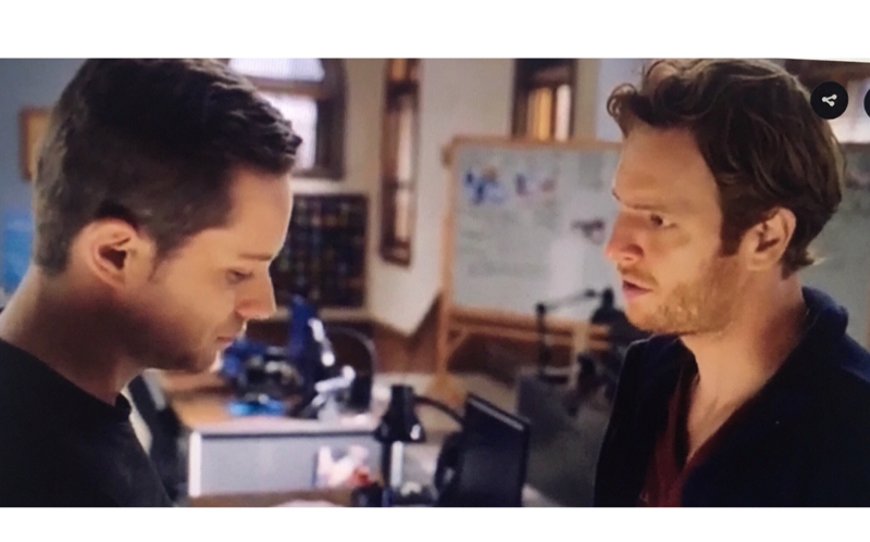 DOUBLE HALSTEAD 😌😍