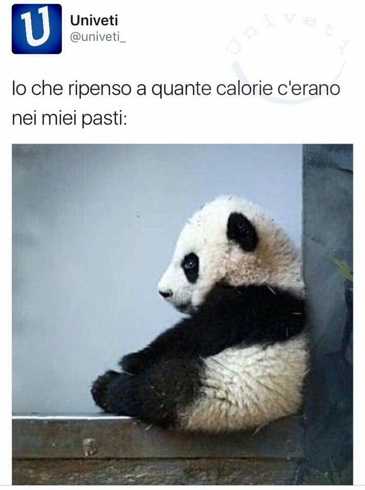 Monica?? Sei tu?????