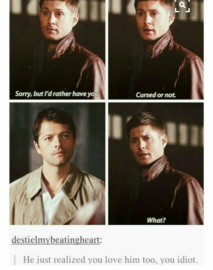 Awww, you idiot !