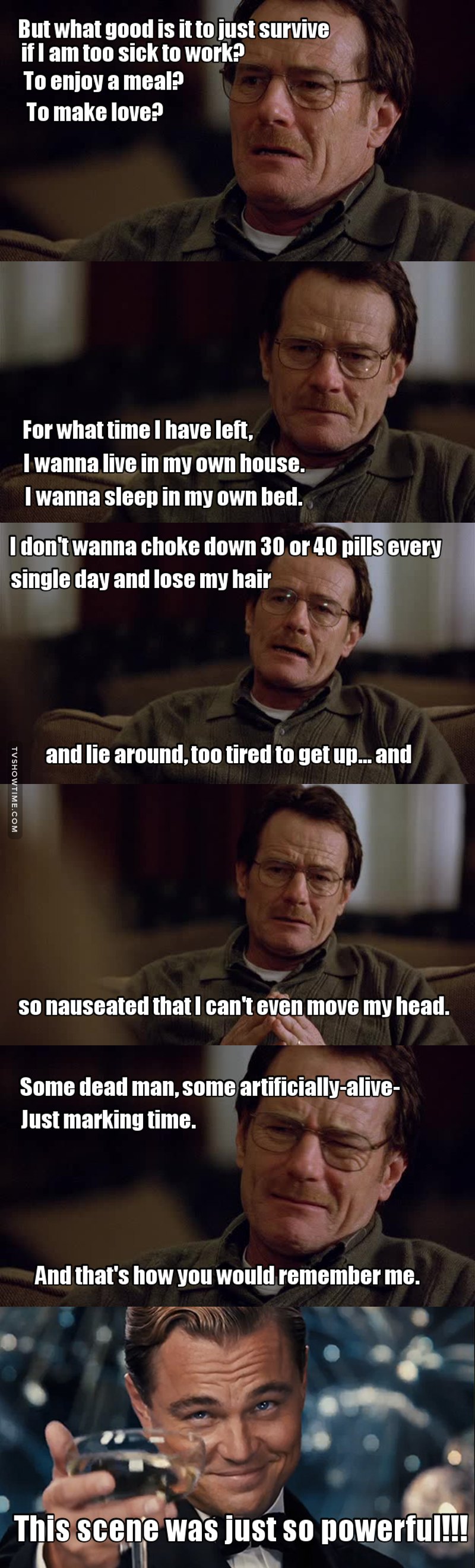 Bryan Cranston totally nailed this scene!!!!