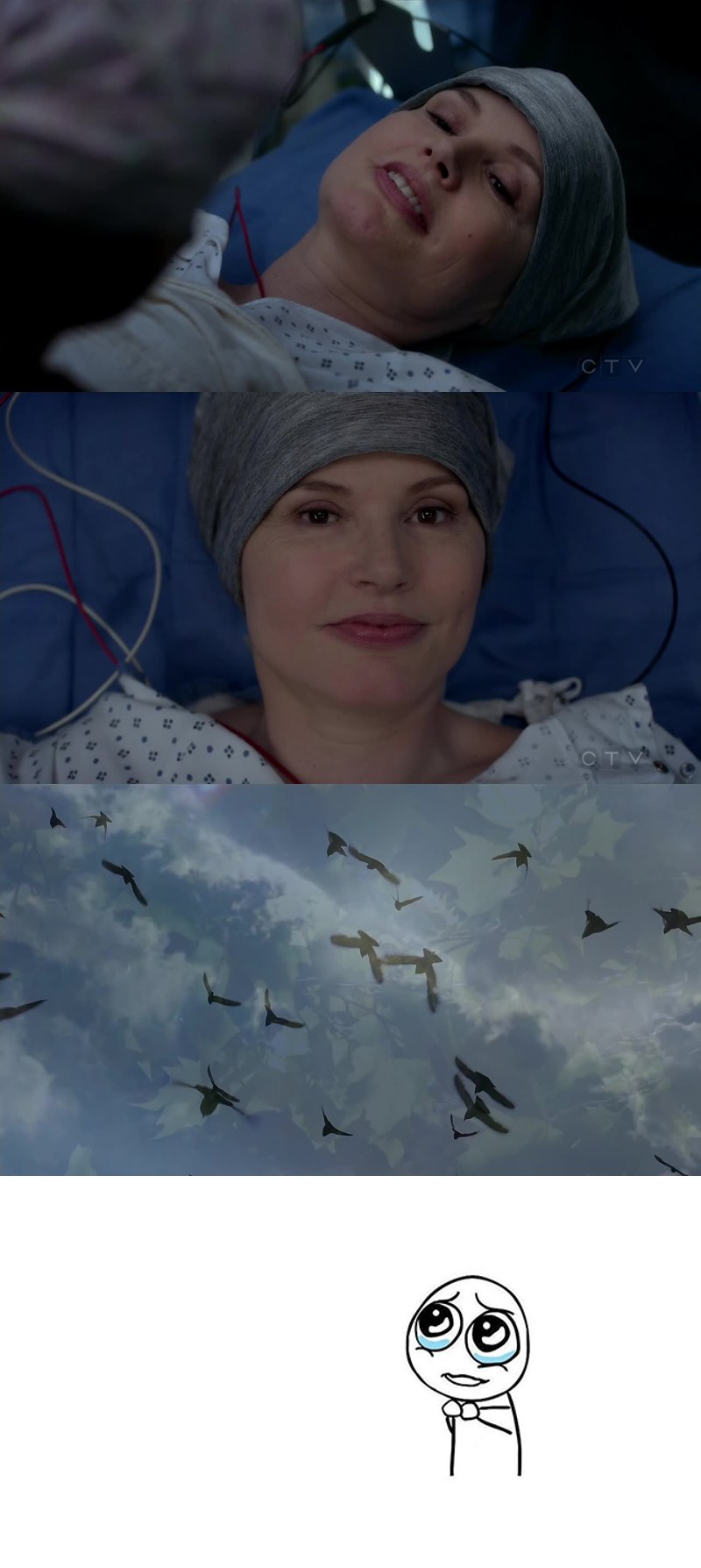 #WeTrustYouAmelia