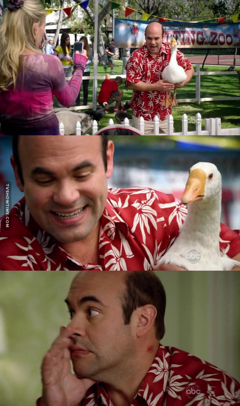 That goose 😂😂