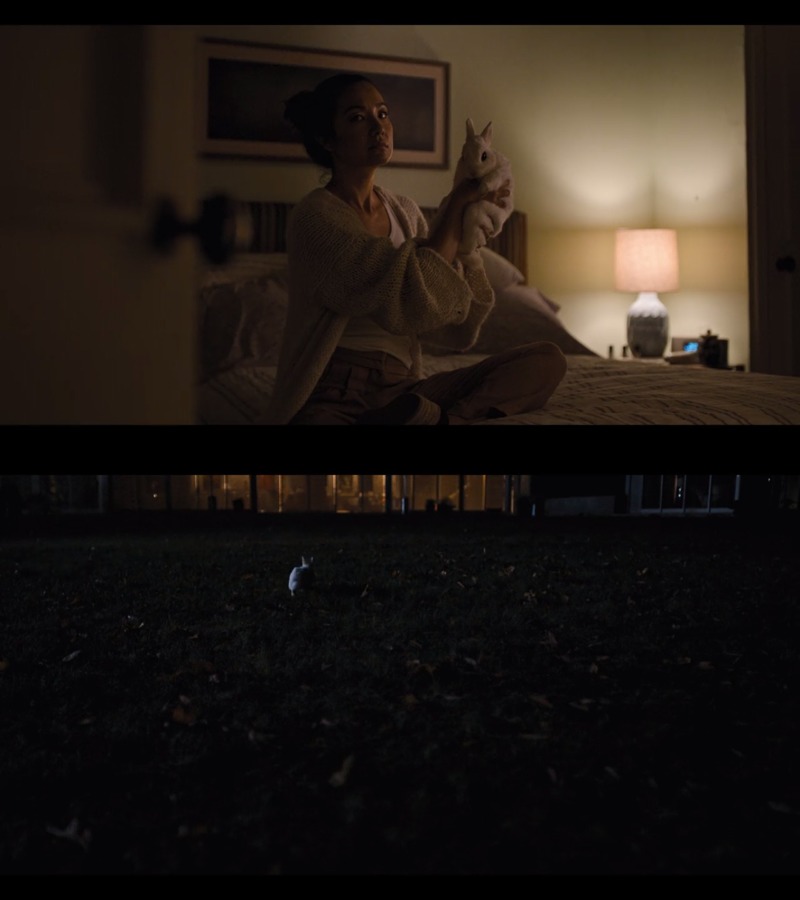 Damn, the bunny is alive!!