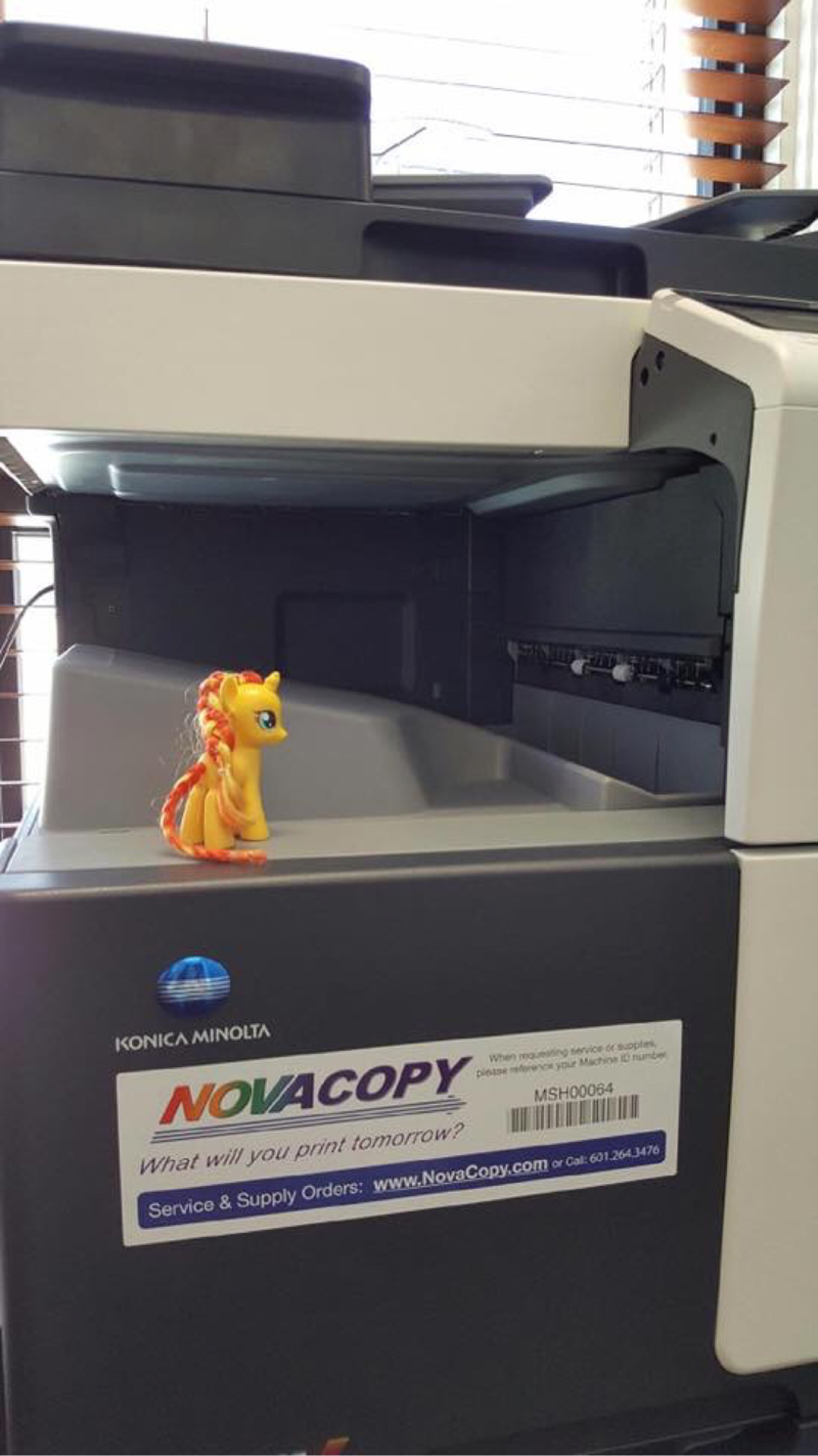 Pony on A Shelf: Sunset Shimmer makin' that paper