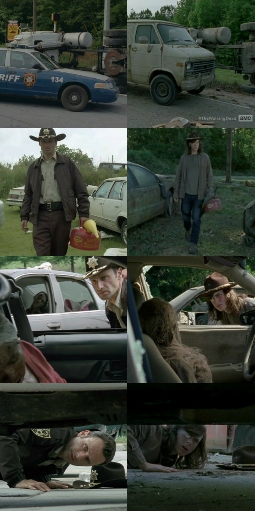 SEASON 1 / SEASON 8