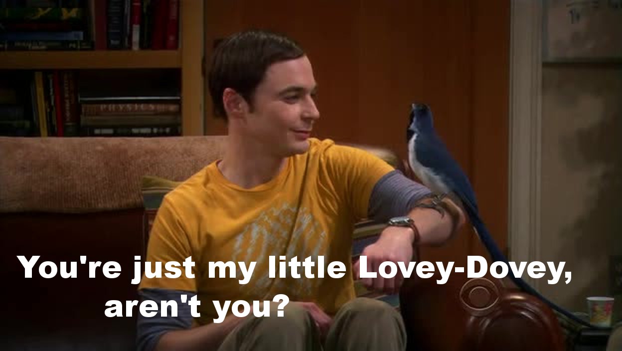 Sheldon was so cute with his bird friend!