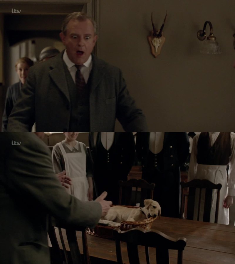 So, in just one episode Mrs. Patmore and Mrs. Hughes got back on Mr. Carson, Edith received a proposal, and Mr. Molesley was offered a job as teacher. And on top of everything... Puppy love! <3
Downton Abbey keeps getting better, I can't believe we are close to the end.