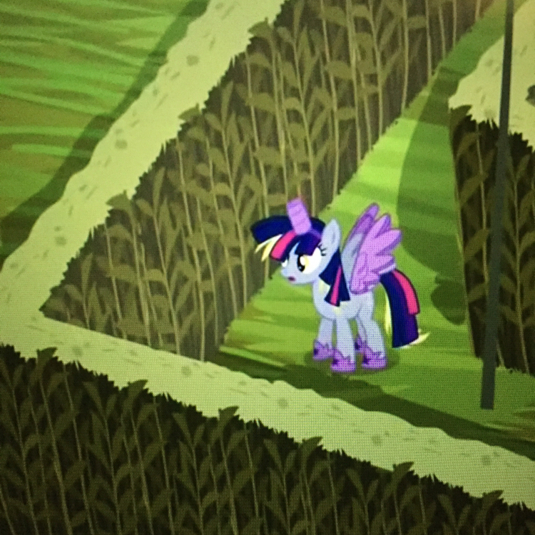 Dans le labyrinthe on peut voir Derpy déguisée en Twilight ! L'avez-vous vu ? :)