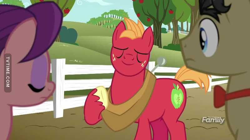 I honestly loved the talkative big mac. I love his character ether way, but I wish we had him more in the show. (AND I DUNNO WHY, BUT HE IS SO GORGEOUS!!!)