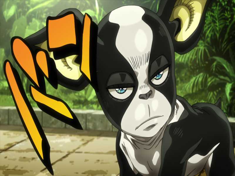 time for Iggy to shine