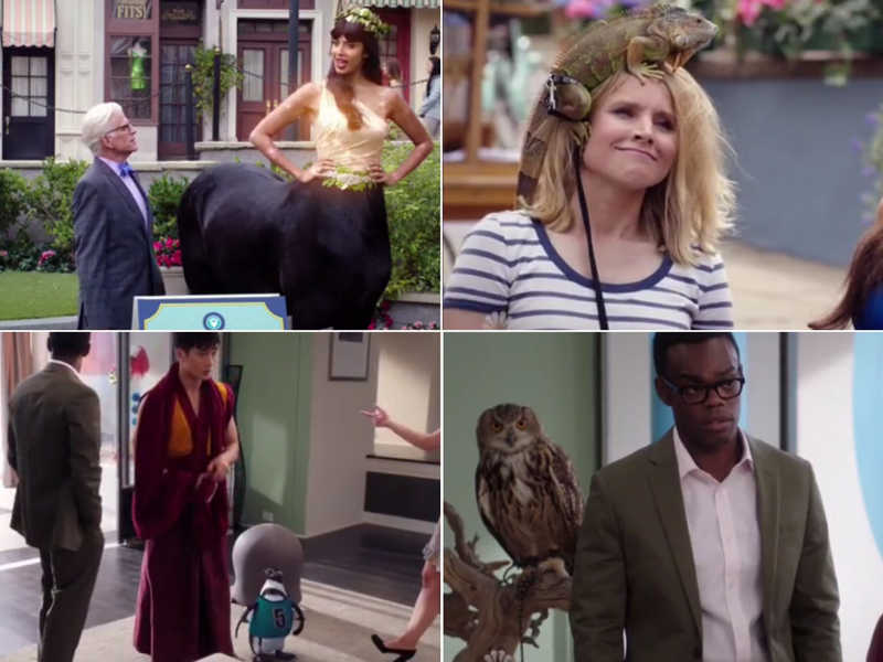 Their pets were perfect for them 😂😂
And Jason's penguin with his jersey 😍🤣