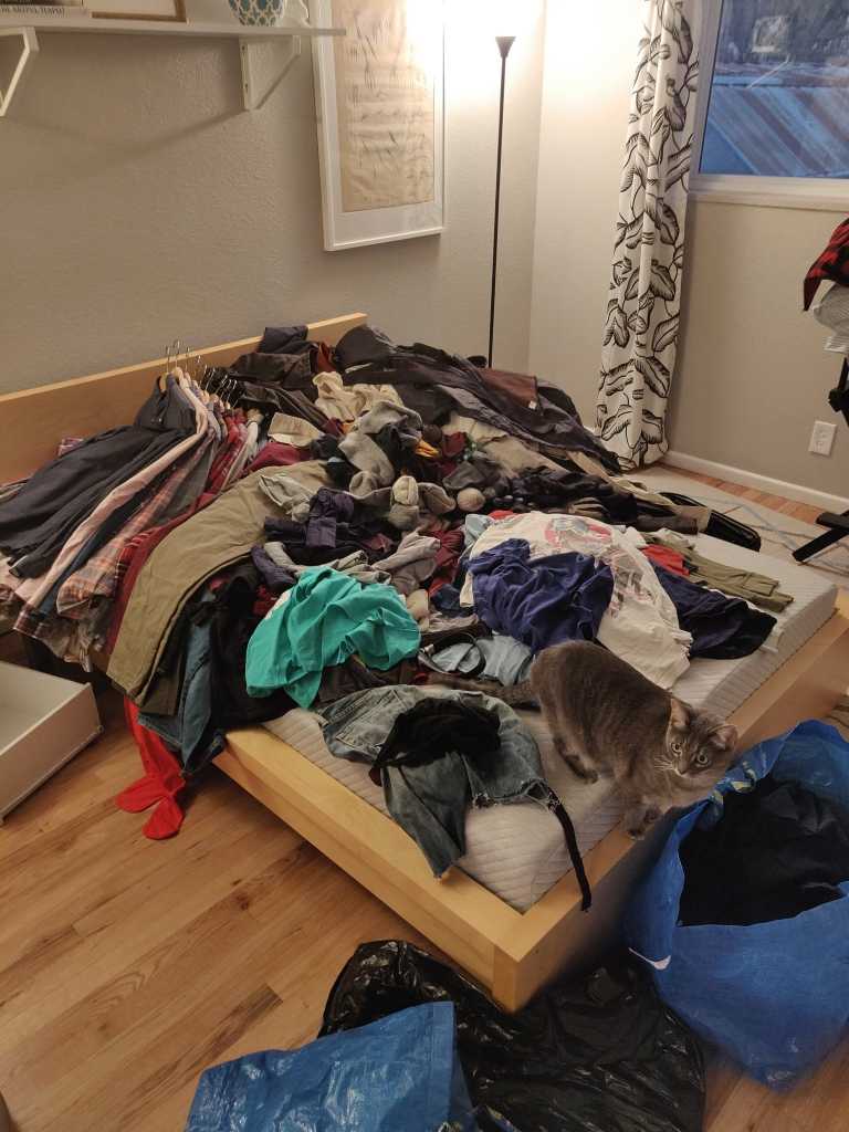 Não sei vocês mas são 00:15 e todas minhas roupas estão na cama. Ainda bem que é sexta e não trabalho amanhã! Inclusive, achei uma passagem pra Nárnia depois de tirar tudo.
