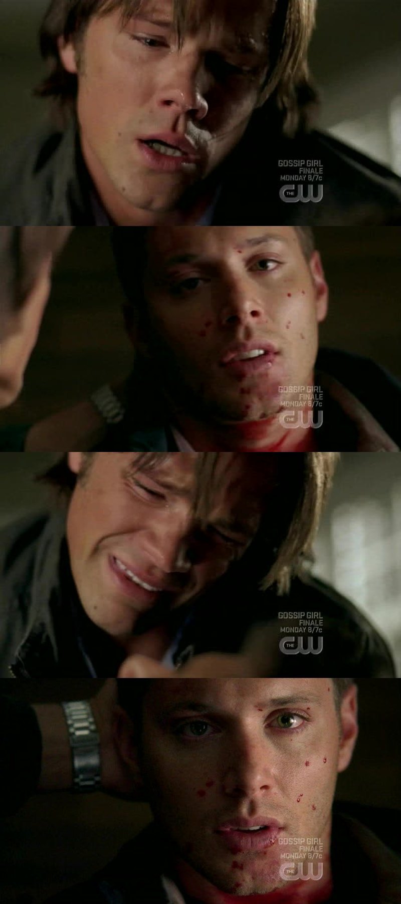 carry on my wayward son