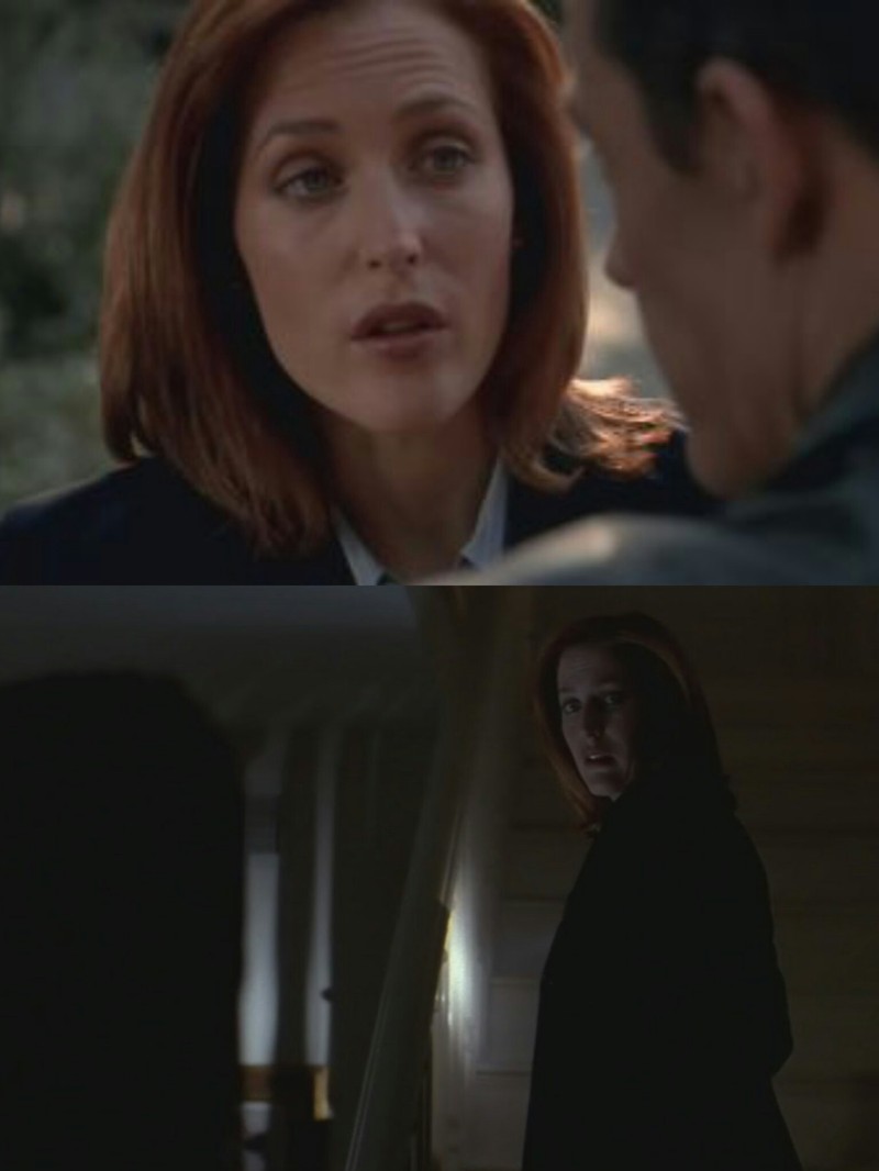 I already hate this man. 👍✨
Scully: "You know, Rocky... I'm a mother.
Dr Bronzino: "Mothers are women, too."
Dr Bronzino: "I'd like to think of it as a hymenopteran relationship. Two scientists using their special knowledge reaching higher than either of them could ever reach alone. And if I may say so, Doctor, you complete me."
Scully: "I got upstairs, you take down."