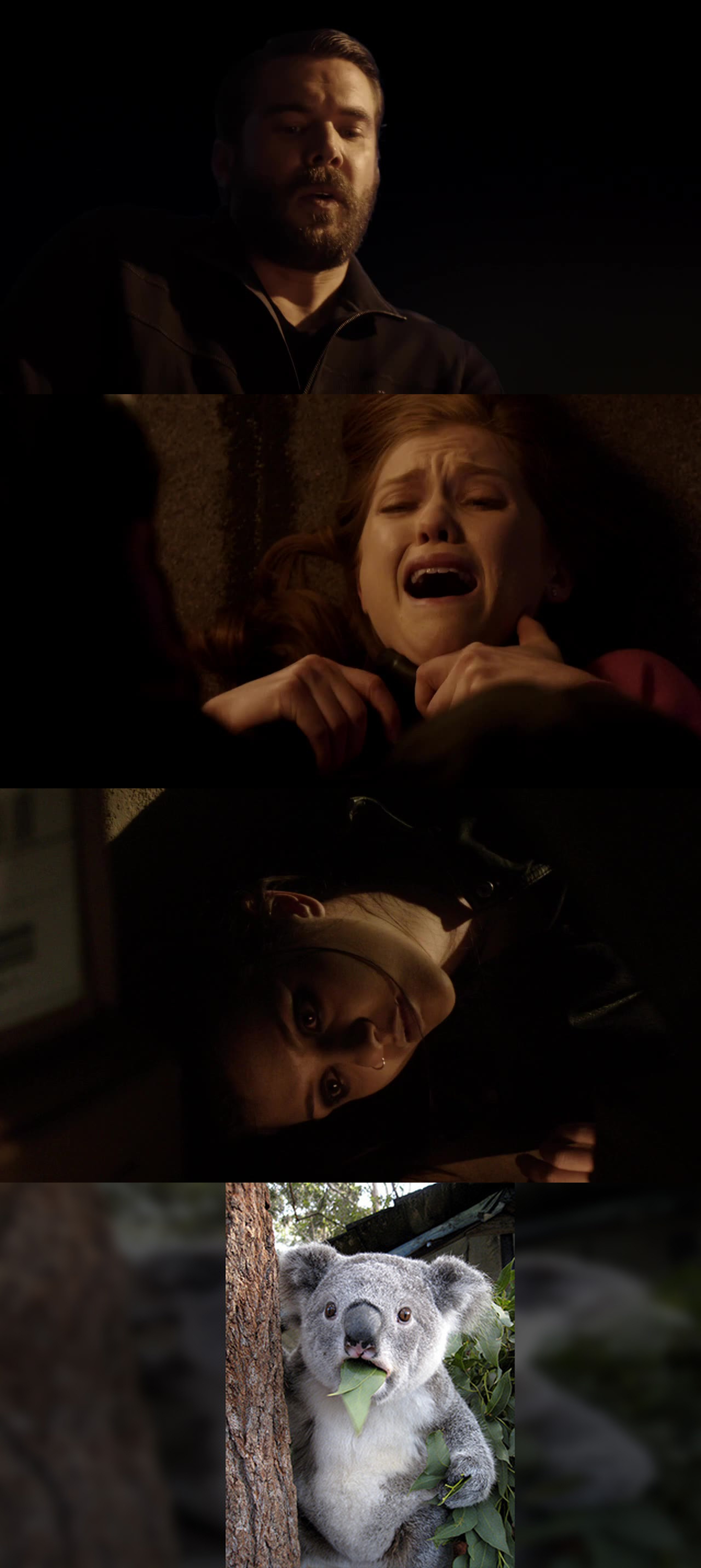 Just... WTF???? I need season 2 NOW!