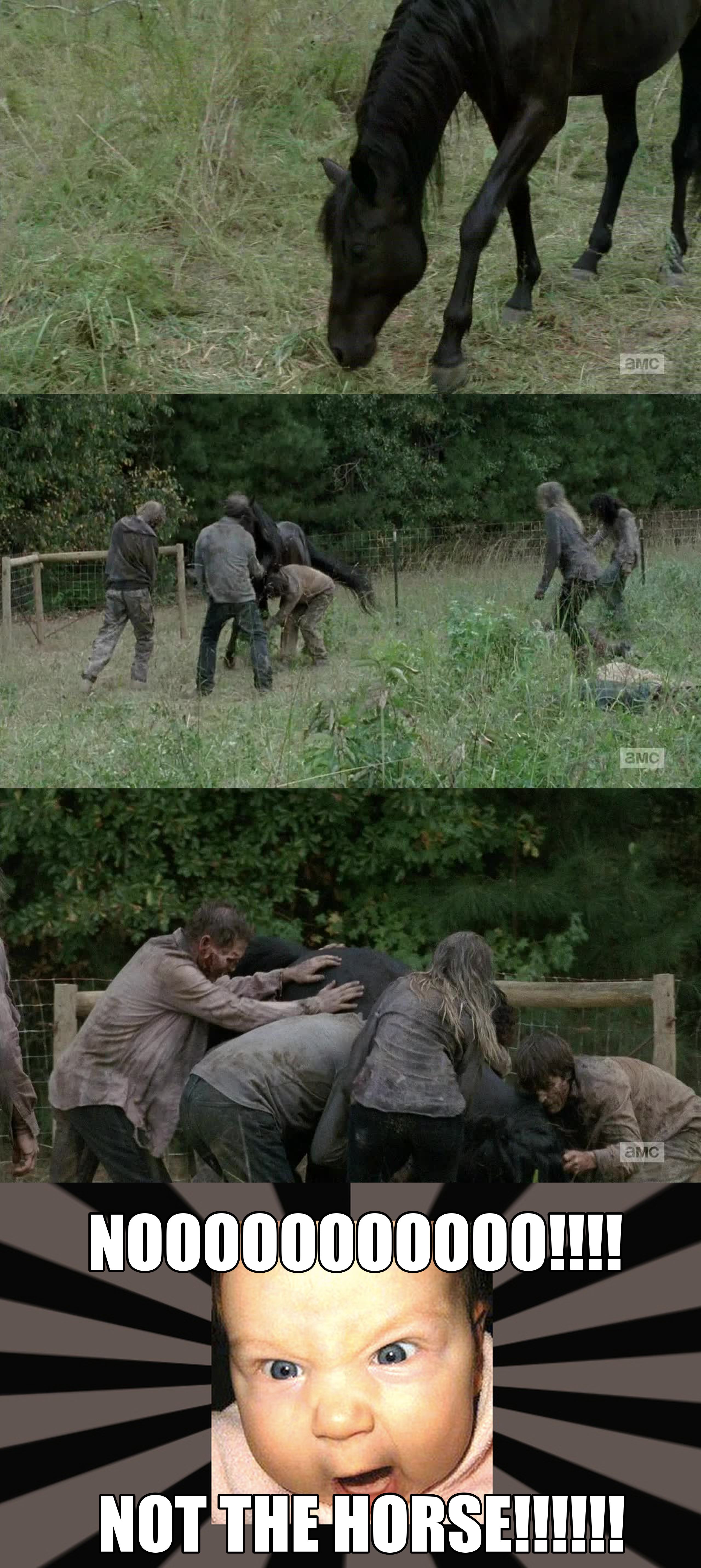 Me watching this scene! Horse appears for one episode and I like him better than half of the people... and when he dies, oh the RAGES!