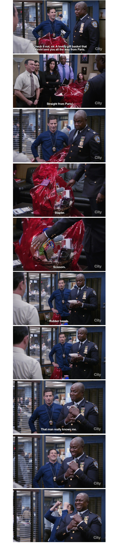 It's impossible to not like captain Captain Ray Holt
